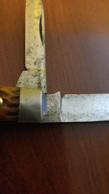 20161002_084505.jpg