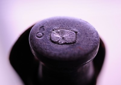 DSC_8780.JPG