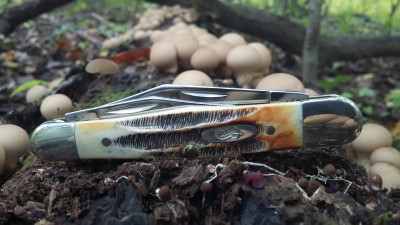 20161006_095758.jpg