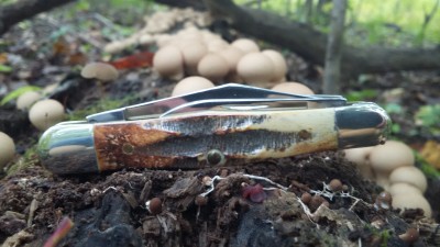 20161006_095825.jpg