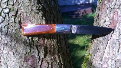 WP_20161010_001.jpg