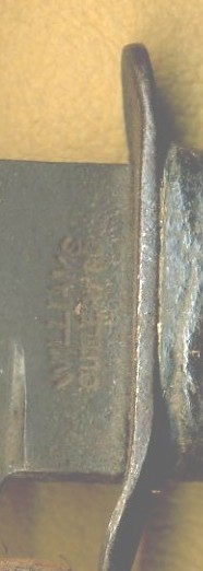 img489c4.jpg