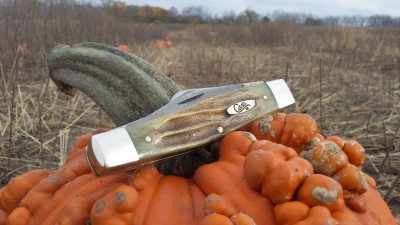 20161029_104935.jpg