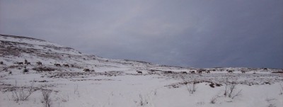100_2320.JPG