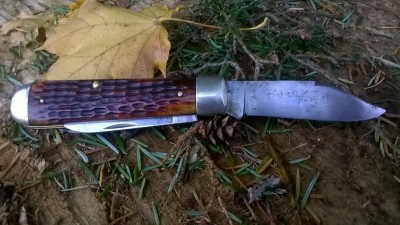 WP_20161108_041.jpg