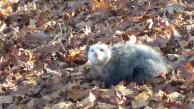 20161110_121238.jpg