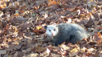 20161110_121240.jpg