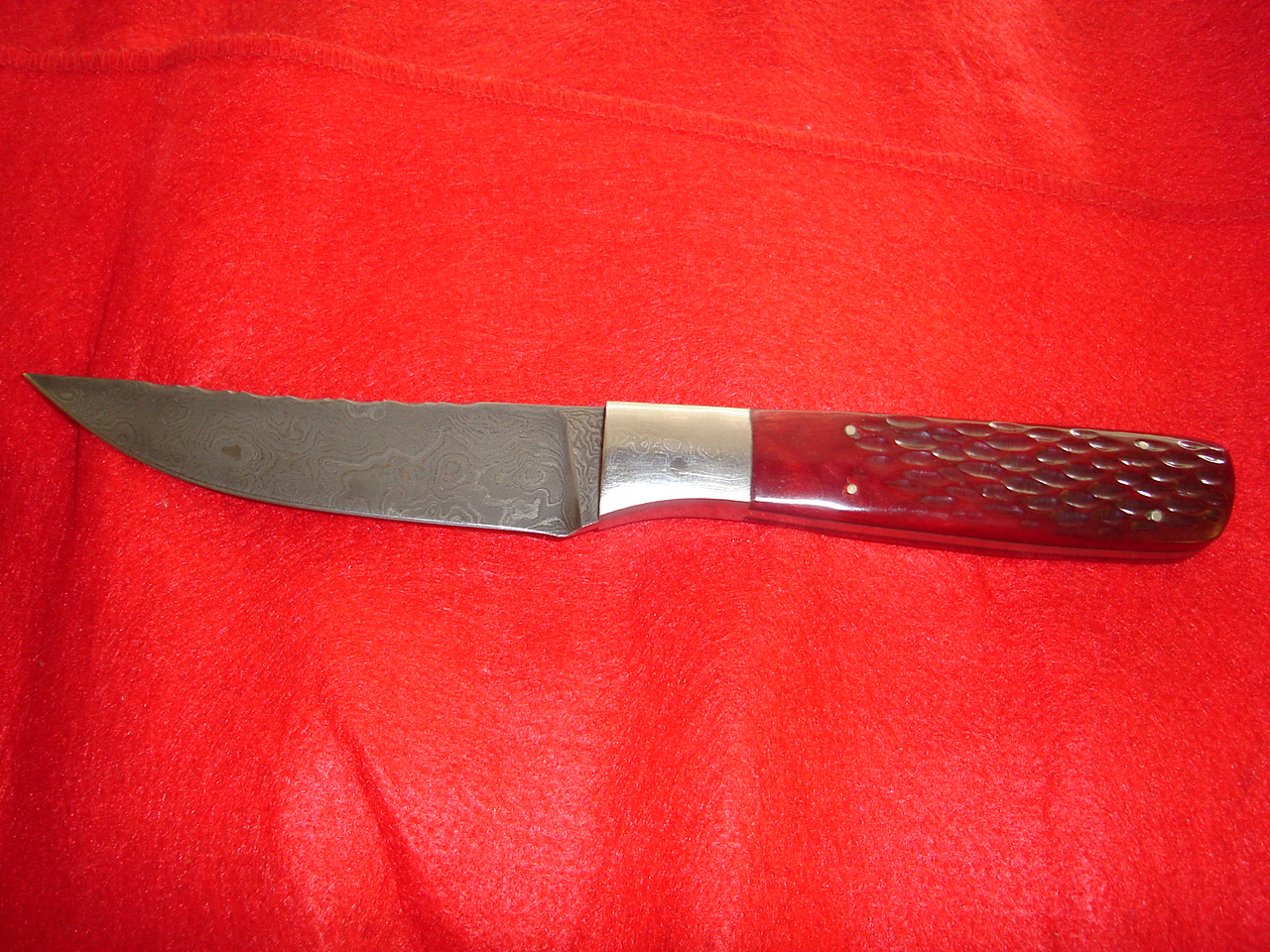 knv 023.jpg