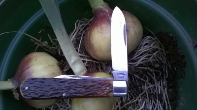 WP_20161123_022.jpg