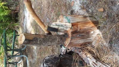 20161125_114402.jpg