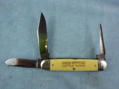 RIMG0777.JPG