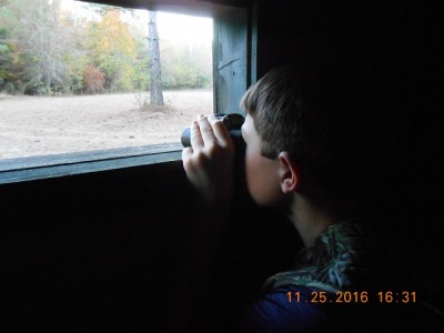 #2 watching the fox