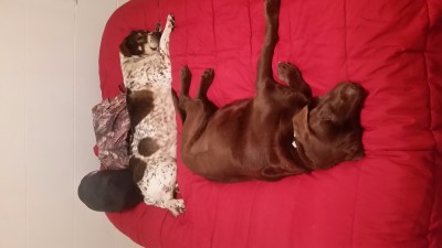 Nikki and Buddy_New Years 2016_pic 2.jpg