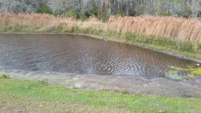 20161217_123455.jpg