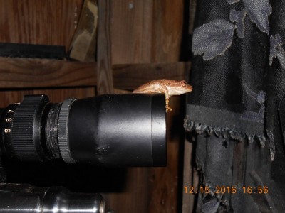 DSCN2745r.jpg