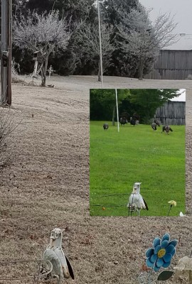 20161220_103259.jpg