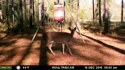 A fine lookin' ol' gal!