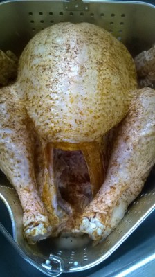 WP_20161225_018.jpg