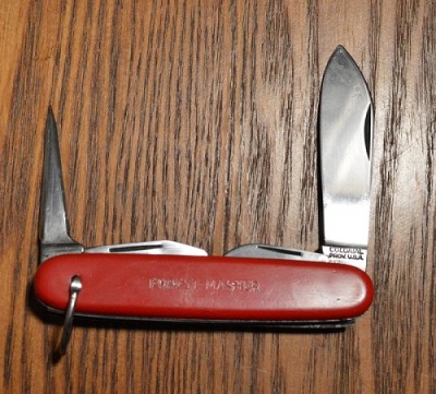 Forest Master Swiss 2.jpg