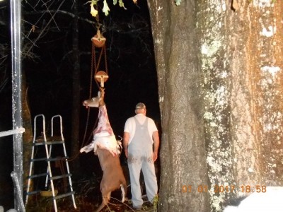 Rocky got us to this point, now to pull the hide.