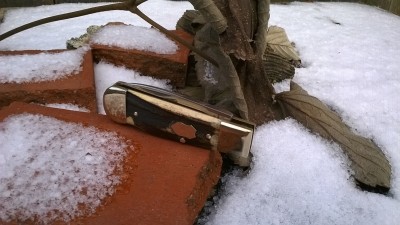WP_20170102_001.jpg