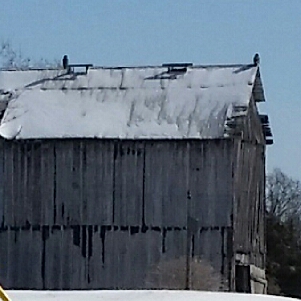 20170107_103943.jpg