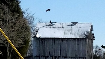 20170107_103709.jpg