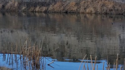 20151213_082000.jpg