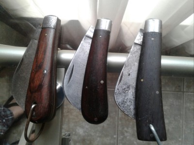 Cocobolo Hawkbills.jpg