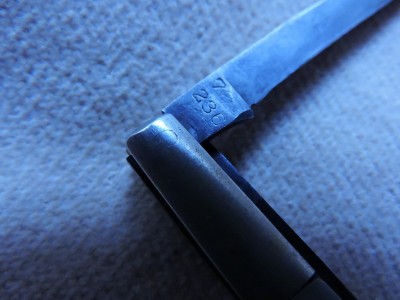 DSCN4557.JPG