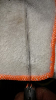 IMG_20170108_185202757.jpg