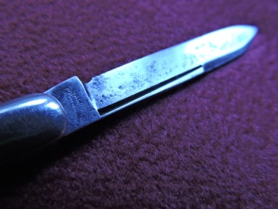 DSCN4590.JPG