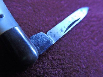 DSCN4594.JPG