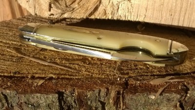 WP_20170112_011.jpg