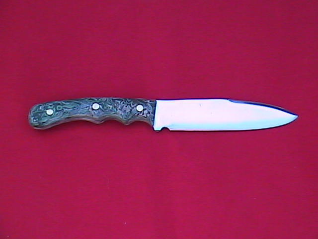 t4.JPG