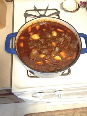 beef bourguignon with potatoes and carrots.JPG