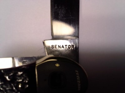Senator Stamp jpg.jpg