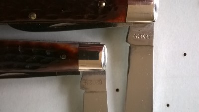 WP_20170129_003.jpg