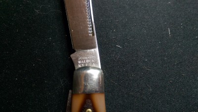 IMAG0512.jpg