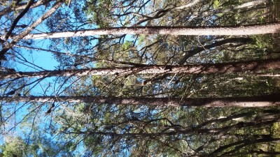 20170211_130819.jpg