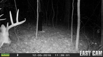 HUNT0016r.jpg (282.72 KiB) Viewed 2192 times Headin' along the trail to the feeder