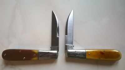 WP_20170220_001.jpg