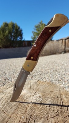 20170221_142813.jpg