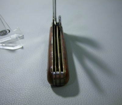 100_6977.JPG