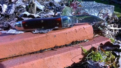 WP_20170222_004.jpg