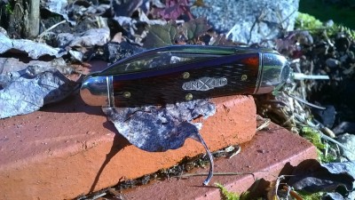 WP_20170222_016.jpg