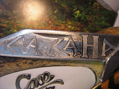 "Kia Kaha" (or Stay strong in Maori)