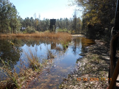 DSCN2715.JPG