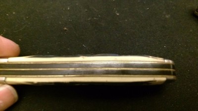 IMAG0586.jpg