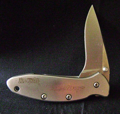 Kershaw 1600 Chive